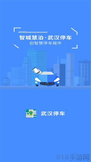 武漢停車界面展示2