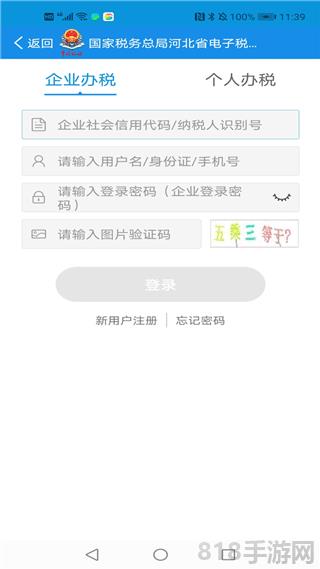河北網上稅務局app界面展示2