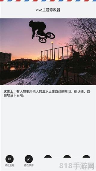 vivo主題修改器界面展示2