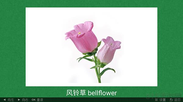 看圖學植物電視版界面展示2