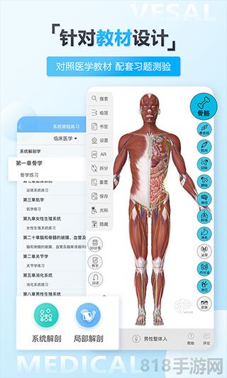 維薩里3D解剖界面展示2