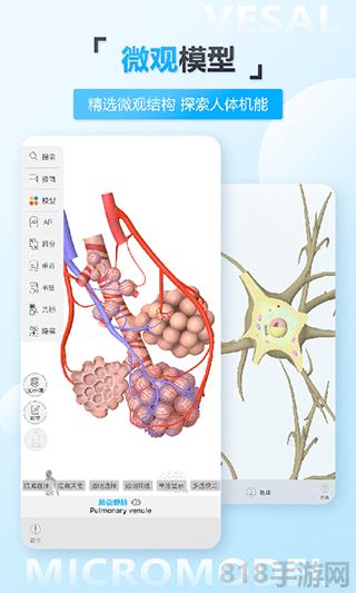 維薩里3D解剖界面展示2