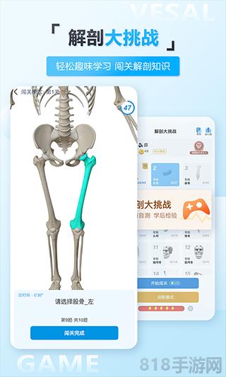 維薩里3D解剖界面展示2