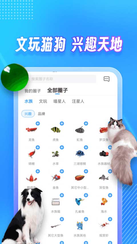 龍巔app界面展示2