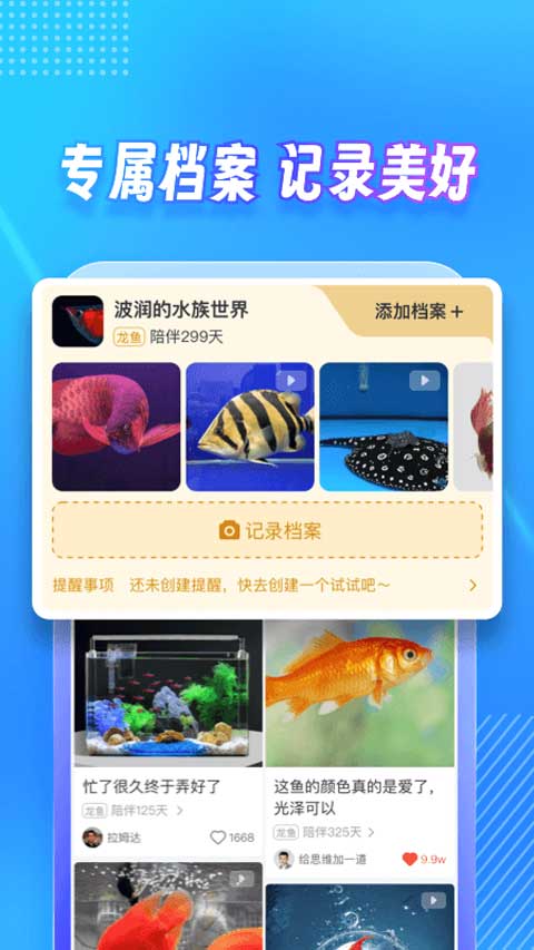 龍巔app界面展示2