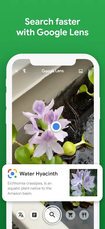 Google移動版界面展示2