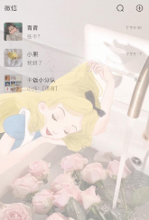 全局透明皮膚app